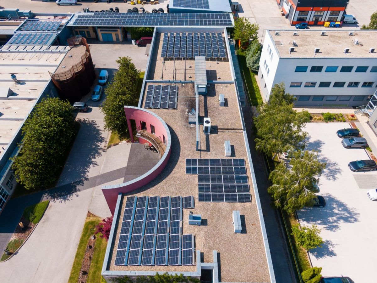 Mrva & Stanko - Obrázok 2