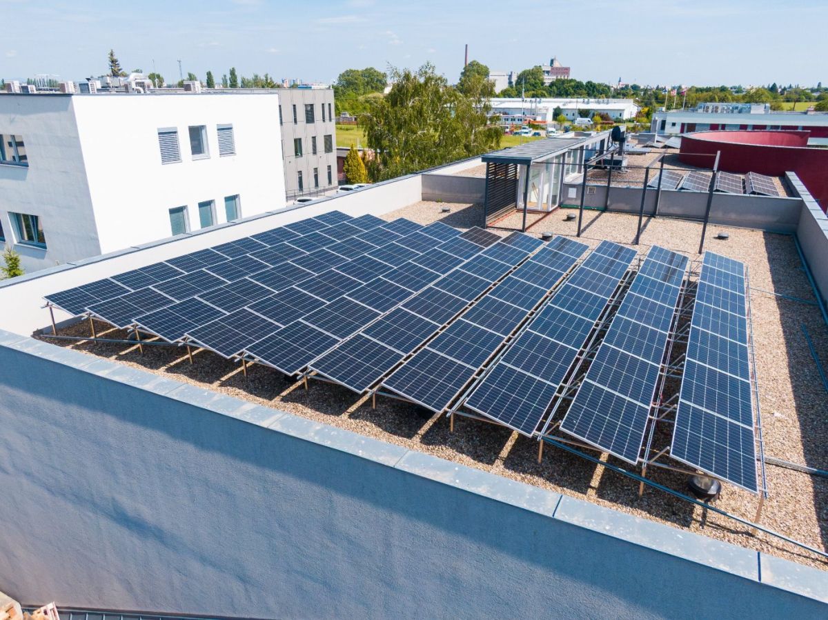 Mrva & Stanko - Obrázok 4